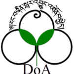 DOA Logo