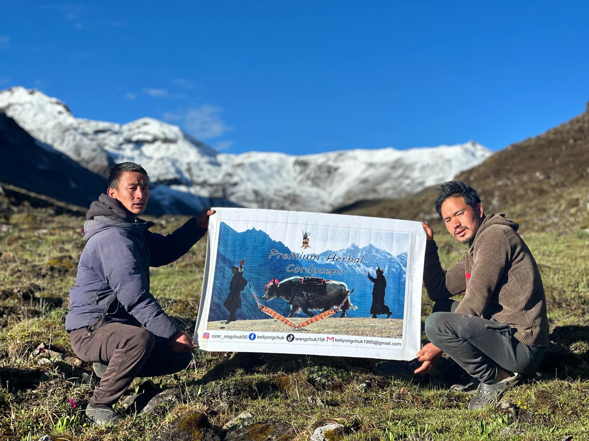 Team with permium herbal cordyceps banner